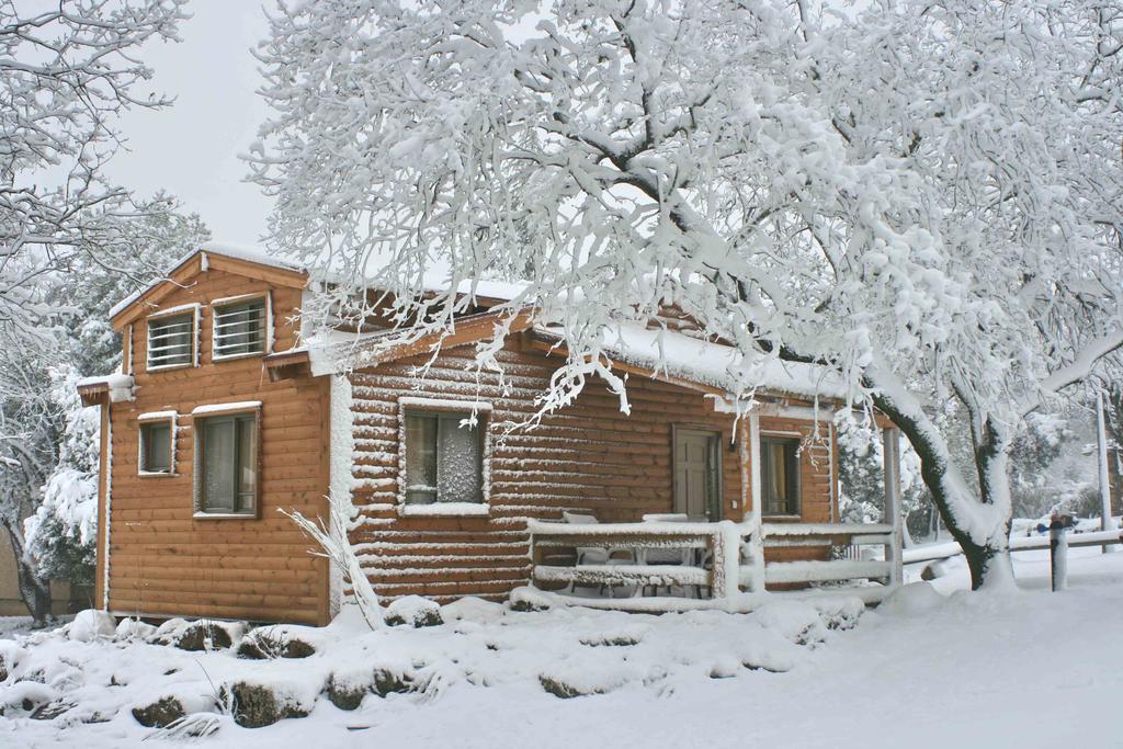 Ein Zivan Village Resort Номер фото